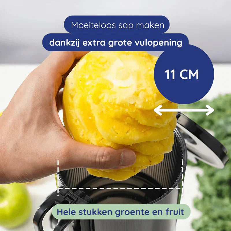 Pure Pro Kaltpress-Entsafter